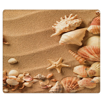 Sea Shells With Sand As Background Area Rug