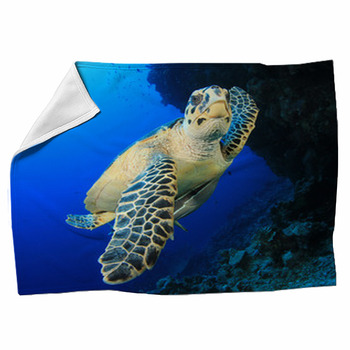 Generic Sea Turtle Abstract Art Fleece Throw Blankets，80X60 Microfiber Blanket Throws Soft Cozy for Living Room 