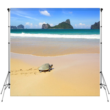 Sea Turtle On A Beach To Lay Her Custom Size Backdrop