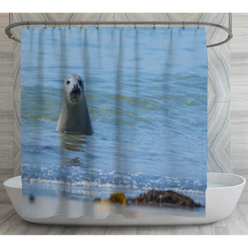 Seal On A Blue Beach Shower Curtain