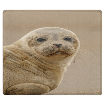 Seal Pup Bath Mat