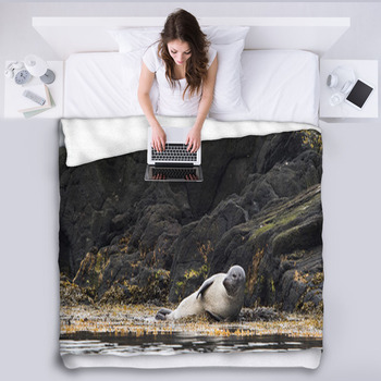Seal, Vatnsnes, Iceland Fleece Blanket
