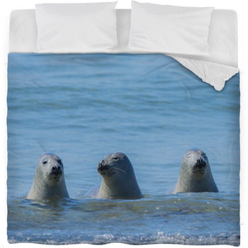 Seals On A Beach - Helgoland, Germany Fleece Bed Blanket
