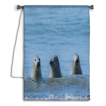 Seals On A Beach - Helgoland, Germany Towel