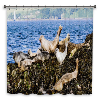 SEALS Shower Curtain