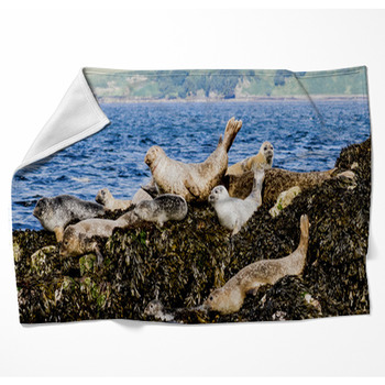 SEALS Woven Throw Blanket