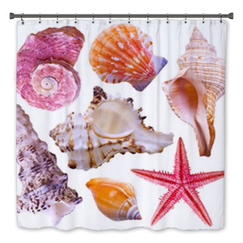 Seashell Bath Decor
