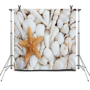 Seashell Beauty Fleece Backdrop