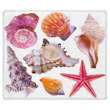 Seashell Rugs