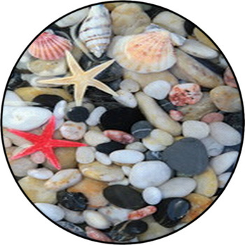 Seashell, Starfish And Colorful Pebble Stones Round Rug