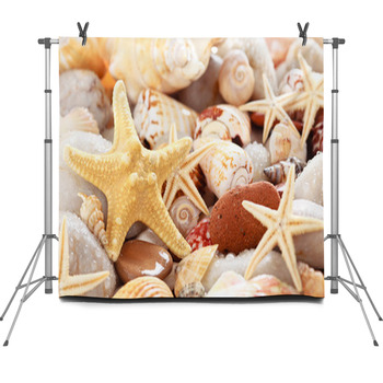 Seashells Background. Fleece Backdrop