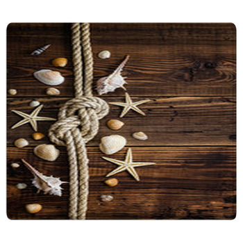 Seashells Border On Wood. Marine Background Area Rug