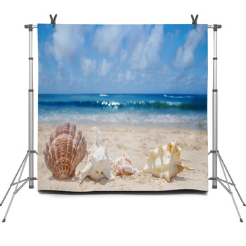 Seashells On A Beach Fleece Backdrop