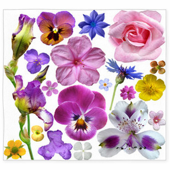 Set Of Botanical Spring Flowers Custom Size Floor Mat