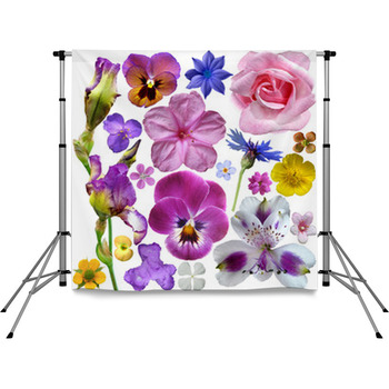 Set Of Botanical Spring Flowers Pole Pocket Backdrop