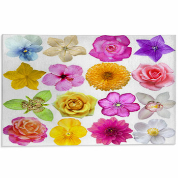 Set Of Flower Heads Isolated On White Area Rug
