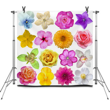 Set Of Flower Heads Isolated On White Fleece Backdrop