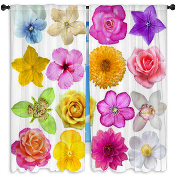 Set Of Flower Heads Standard Size Window Curtains