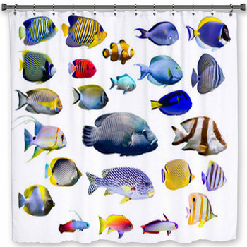 Set Of Marine Fish On White Isolated Shower Curtain