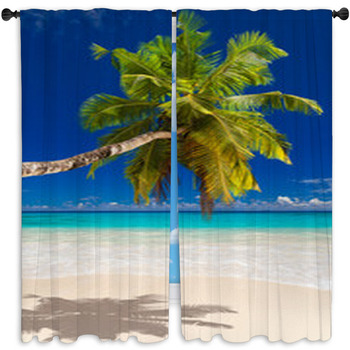 Seychelles Plage Cocotier Window Curtain