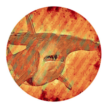 Shark Hammerhead Round Rug