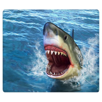 Shark Rugs