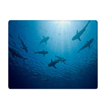 Sharks Bath Mat