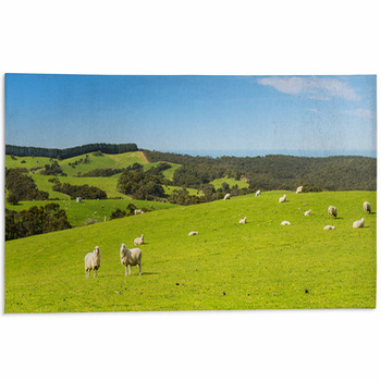 Sheep Area Rugs & Floor Mats
