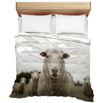 Sheep Comforters Duvets Sheets Sets Custom