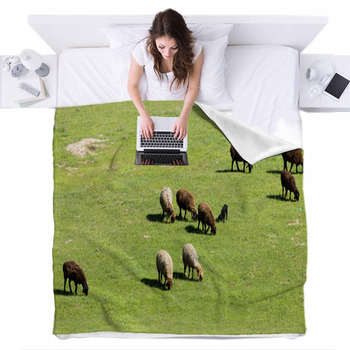 Sheep In Nature Fleece Bed Blanket