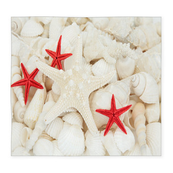 Shell Beauty Custom Size Floor Mat