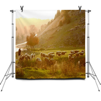 Shepherd Fleece Backdrop