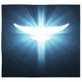 Shining Dove With Rays On A Dark Custom Size Floor Mat