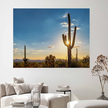 Cactus Wall Decor in Canvas, Murals, Tapestries, Posters & More