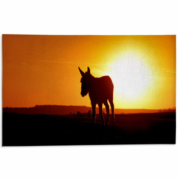 Silhouette Donkey On Sunset Area Rug