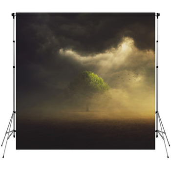 Single Tree In Field Custom Size Backdrop