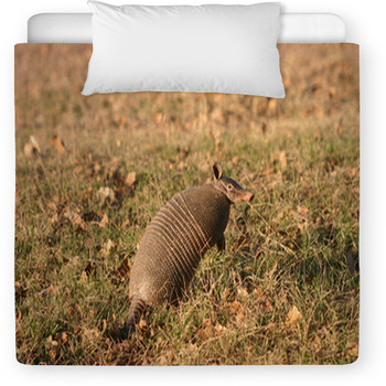 Sitting Armadillo Toddler Duvet