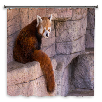Sitting Red Panda Custom Size Shower Curtain