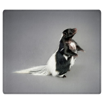 Skunk Area Rug