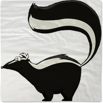 Skunk Baby Blanket