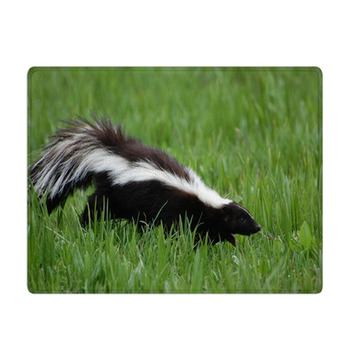 Skunk Bath Mat