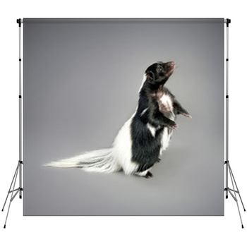 Skunk Fleece Backdrop