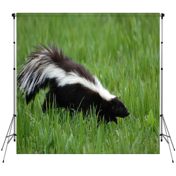 Skunk Fleece Backdrop