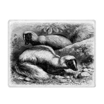 Skunk - Mouffette - Skunks Bath Mat