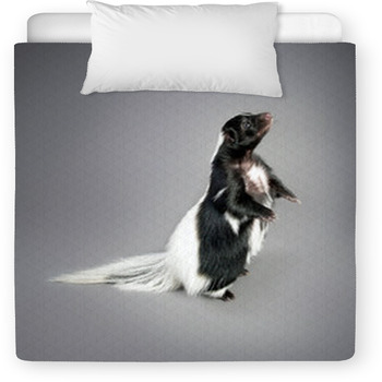 Skunk Toddler Comforter