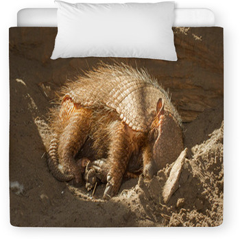 Sleeping Armadillo (Chaetophractus Toddler Duvet