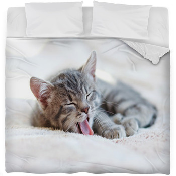Sleepy Kitten Fleece Bed Blanket
