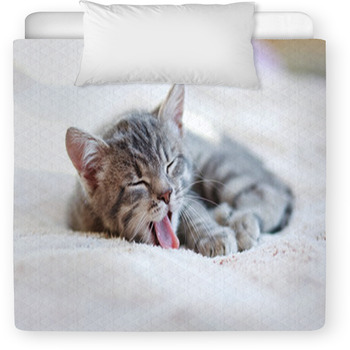 Sleepy Kitten Toddler Comforter