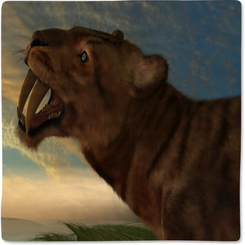 Smilodon Cat Baby Blanket