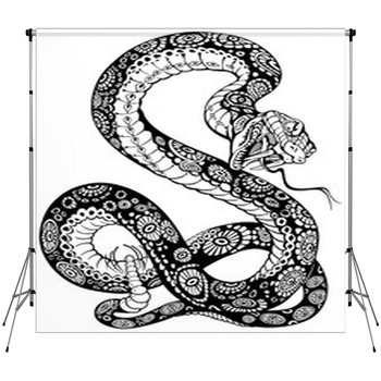 Snake Backdrops